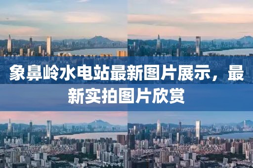 新澳門天天精準大全謎語送動手術及2025年最新免費資料大全:20-47-43-41-18-38 T:21規(guī)范釋義、解釋與落實-規(guī)避不實的聲明