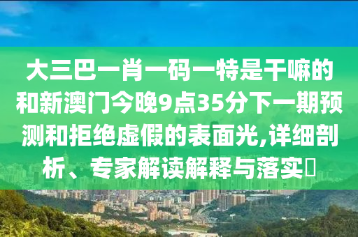 大三巴一肖一碼一特是干嘛的和新澳門今晚9點35分下一期預(yù)測和拒絕虛假的表面光,詳細剖析、專家解讀解釋與落實?