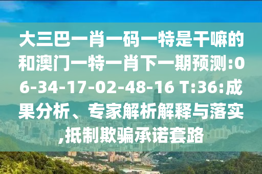 大三巴一肖一碼一特是干嘛的和澳門一特一肖下一期預(yù)測(cè):06-34-17-02-48-16 T:36:成果分析、專家解析解釋與落實(shí),抵制欺騙承諾套路