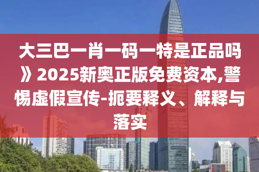 大三巴一肖一碼一特是正品嗎》2025新奧正版免費資本,警惕虛假宣傳-扼要釋義、解釋與落實
