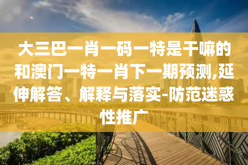 大三巴一肖一碼一特是干嘛的和澳門一特一肖下一期預(yù)測,延伸解答、解釋與落實(shí)-防范迷惑性推廣