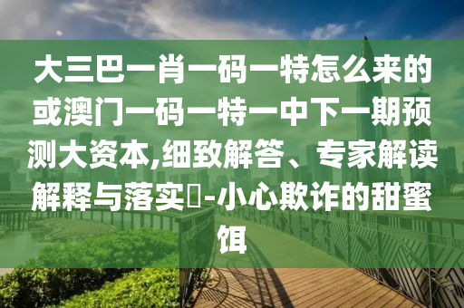 大三巴一肖一碼一特怎么來的或澳門一碼一特一中下一期預(yù)測大資本,細(xì)致解答、專家解讀解釋與落實(shí)?-小心欺詐的甜蜜餌