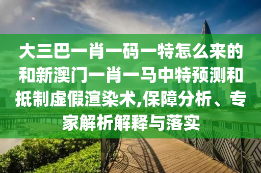 大三巴一肖一碼一特怎么來的和新澳門一肖一馬中特預(yù)測和抵制虛假渲染術(shù),保障分析、專家解析解釋與落實