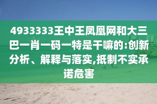 4933333王中王鳳凰網(wǎng)和大三巴一肖一碼一特是干嘛的:創(chuàng)新分析、解釋與落實,抵制不實承諾危害