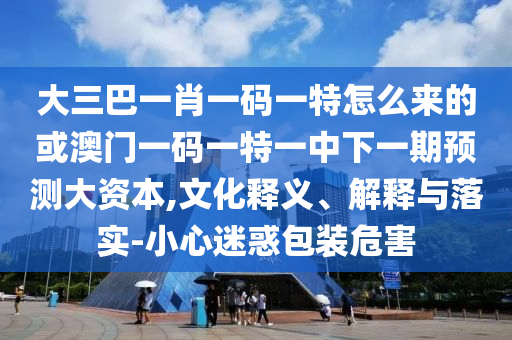 大三巴一肖一碼一特怎么來的或澳門一碼一特一中下一期預(yù)測大資本,文化釋義、解釋與落實(shí)-小心迷惑包裝危害
