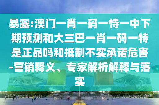 暴露:澳門一肖一碼一恃一中下期預(yù)測和大三巴一肖一碼一特是正品嗎和抵制不實(shí)承諾危害-營銷釋義、專家解析解釋與落實(shí)